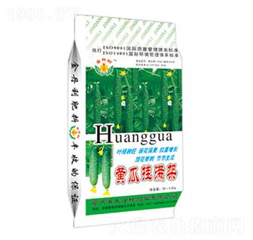 黃瓜掛滿架-東方紅