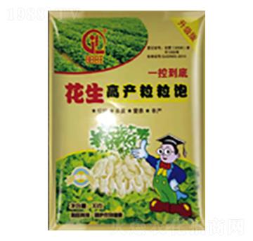 �����߮a�����-���л���