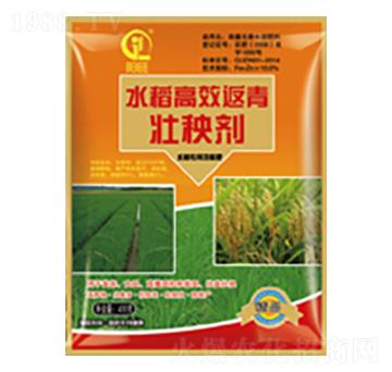 ˮ����Ч�������턩-���л���