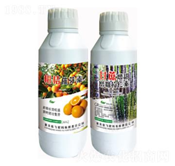 �̽۴�ѿ��+���������������L��-���л���