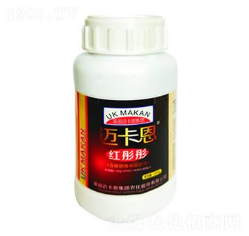 �~�����tͮͮ-��������