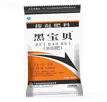 �������21-5-10-�ڌ�ؐ-��ʢ�S