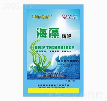 ���徫��-���-����