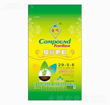 �ͺϷ���29-5-6-����-����