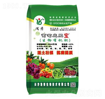 ���ѵ׷ʌ�-�Ʋ�����