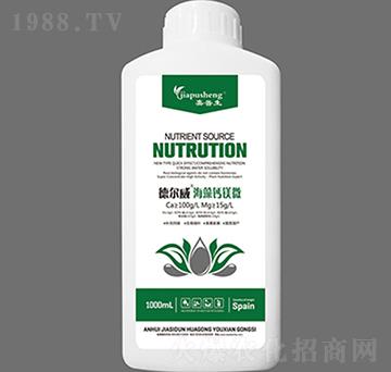 � ��������}�V΢-������-��˼�D