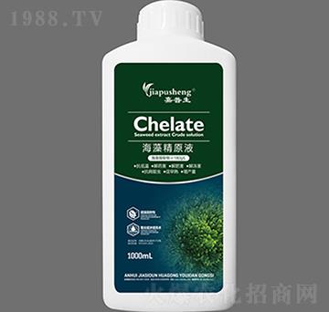 ���徫ԭҺ-������-��˼�D