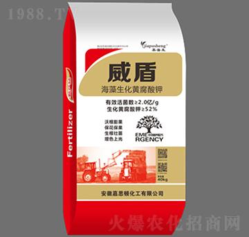 ���������S�����-����-��˼�D