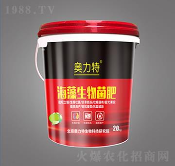 �����������-�W����-��˼�D