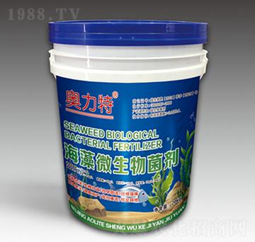 ����΢�������-�W����-��˼�D