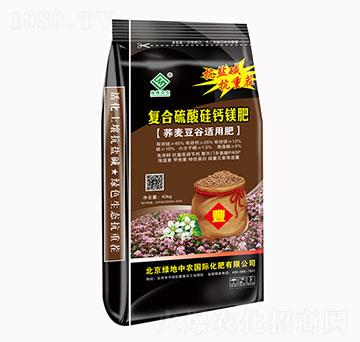 ��(f��)��������}�V��-�G�����r(n��ng)