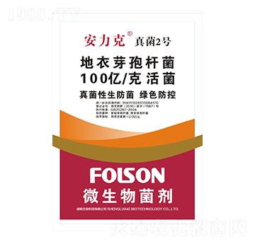 ����ѿ�ߗU��-���������2̖(h��o)-ʢ�Z����