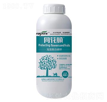 ͬ��혺���ۺ����-������