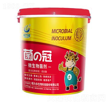 ΢�������-����-������