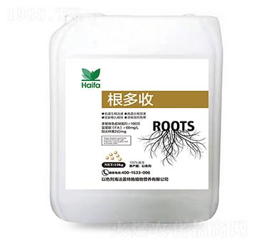 ������-�����w��ʩ