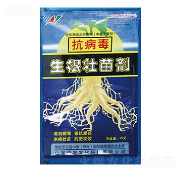 �������������焩-�и�����