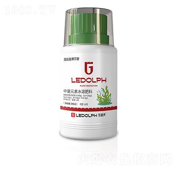 �����������-������