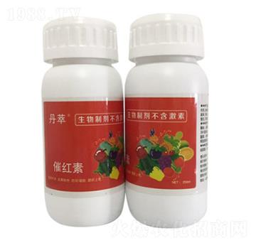 �߼t��-�r(n��ng)����(l��)