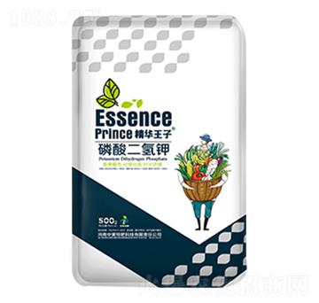 500g��������-���A����-���S�ط�