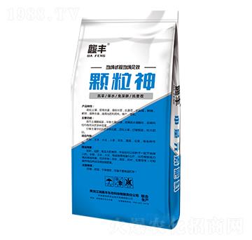 ����Ԫ�ط���-����-�w����