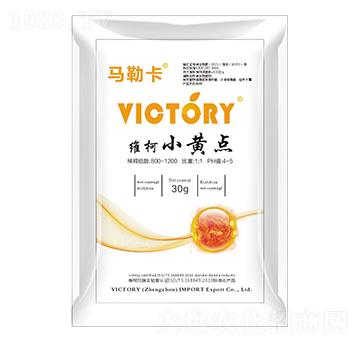 �S��С�S�c(di��n)-�S������