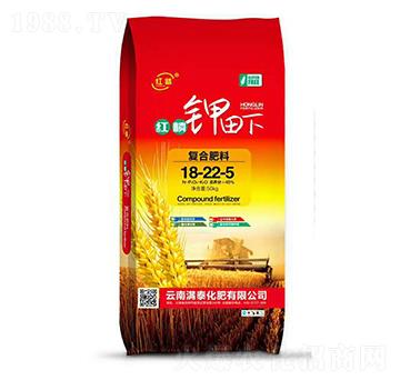 �t�������(f��)�Ϸ�18-22-5-�M(m��n)̩����