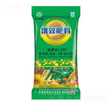 ��Ч����19-19-19-��ʢ�μ�