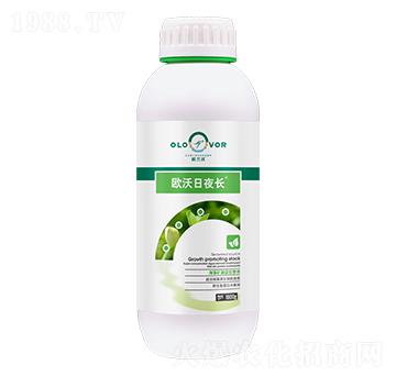 �W����ҹ�L-�W�m��