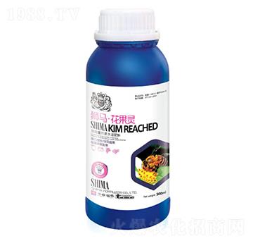 �{�R�����`-�{�R�ʘI(y��)