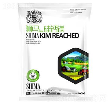 ���}�V-�{�R�ʘI(y��)