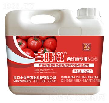 ���t�����ö��ġ��}-ϲ�ֶ�-С����