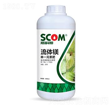 ���w�V-˹��ķ