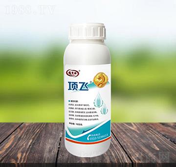 �w����(zhu��n)����Ч��-�(xi��ng)�w-������