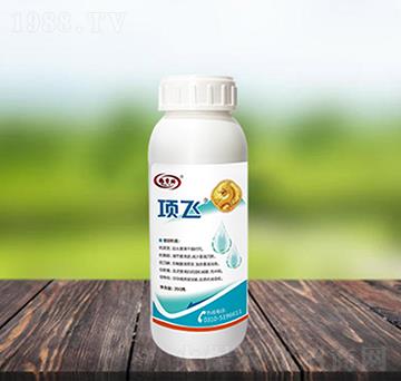 200���w����(zhu��n)����Ч��-�(xi��ng)�w-������