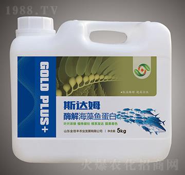 ø�⺣���~(y��)����-˹�_(d��)ķ-���S