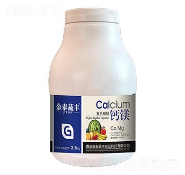 ��(f��)���Ǵ��}�V-��̩���S