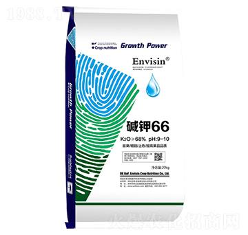 �A�66-�ล���S��