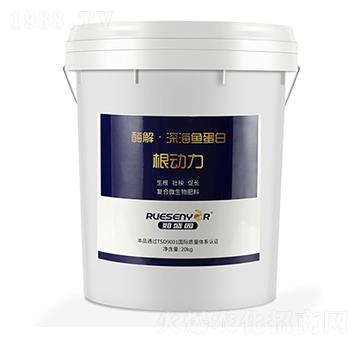 ø����~����-������-����������