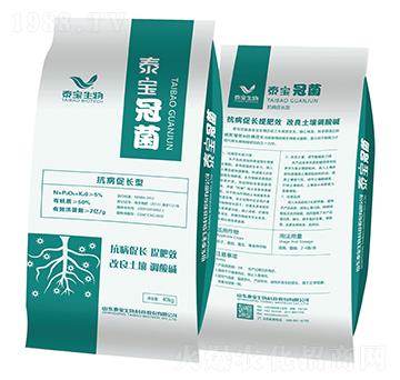 �ھ����������L�ͣ�-̩������