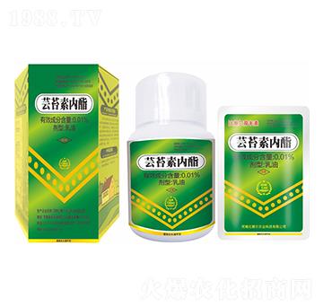 �|̦�؃�(n��i)��-��ِ��