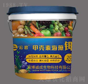 �ך��غ����-���-�\������