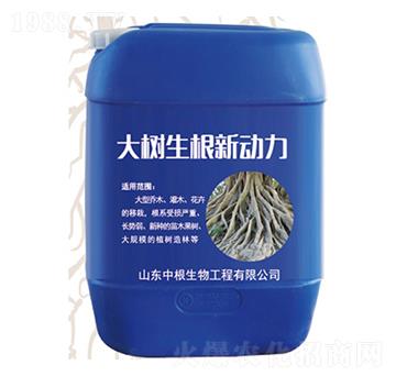 ���(sh��)������(d��ng)��-�и�����