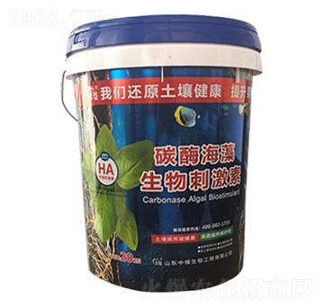 ̼ø��������̼���-�и�����