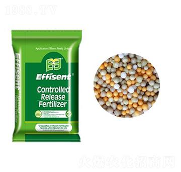 ȫ�ؿ�ጷ�-������