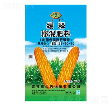 ��ጓ������28-10-10-���