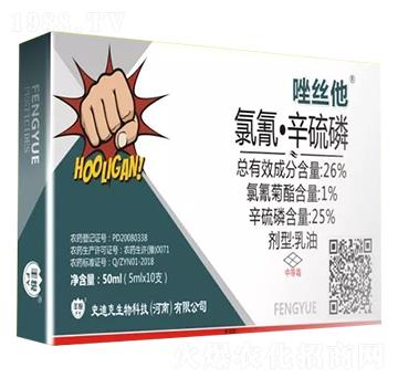 26%���衤����������-��z��-ʷ�Ͽ�