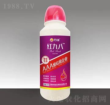 ���ь����~���-�t�Ű�-��ȸ