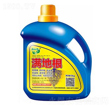 �M�ظ�-�W�׵�˹