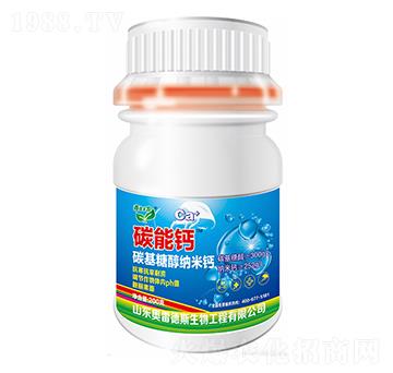 ̼���}-�W�׵�˹