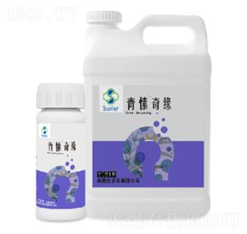 青愫奇緣-世多樂